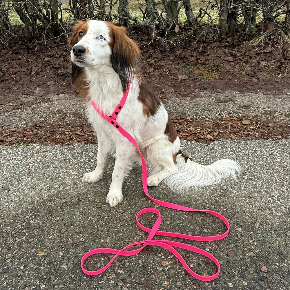 All-in-one leash - 4