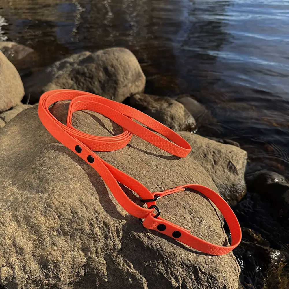 All-in-one leash - 7