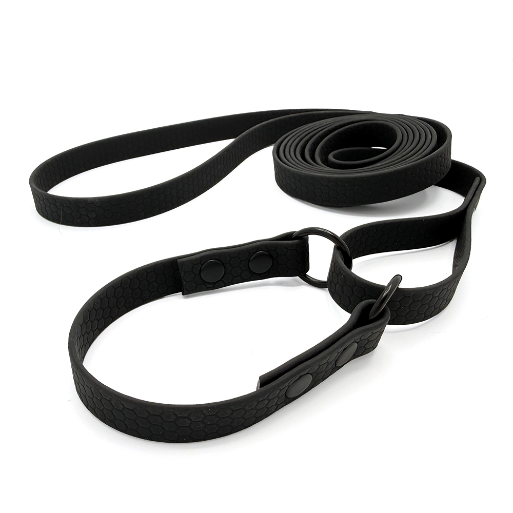 All-in-one dog leash