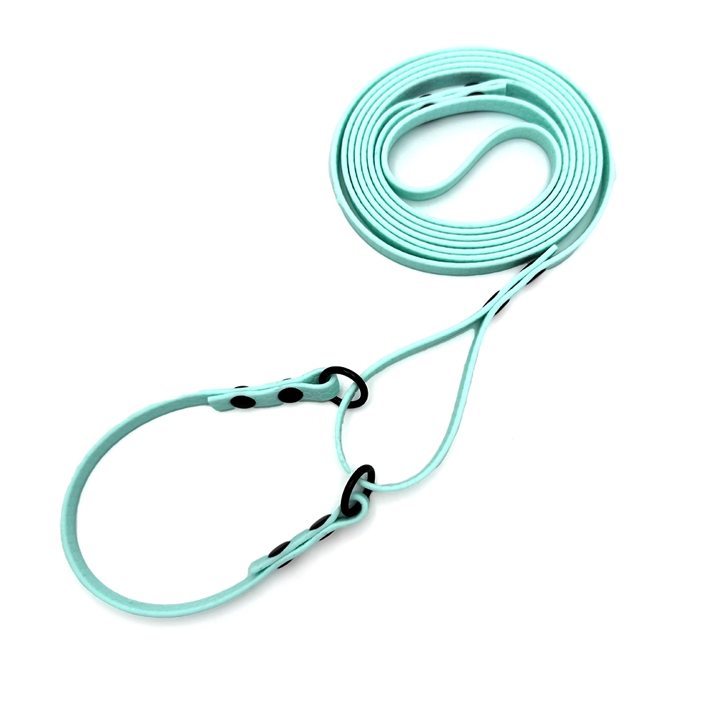 Dog collar and leash in one hexa