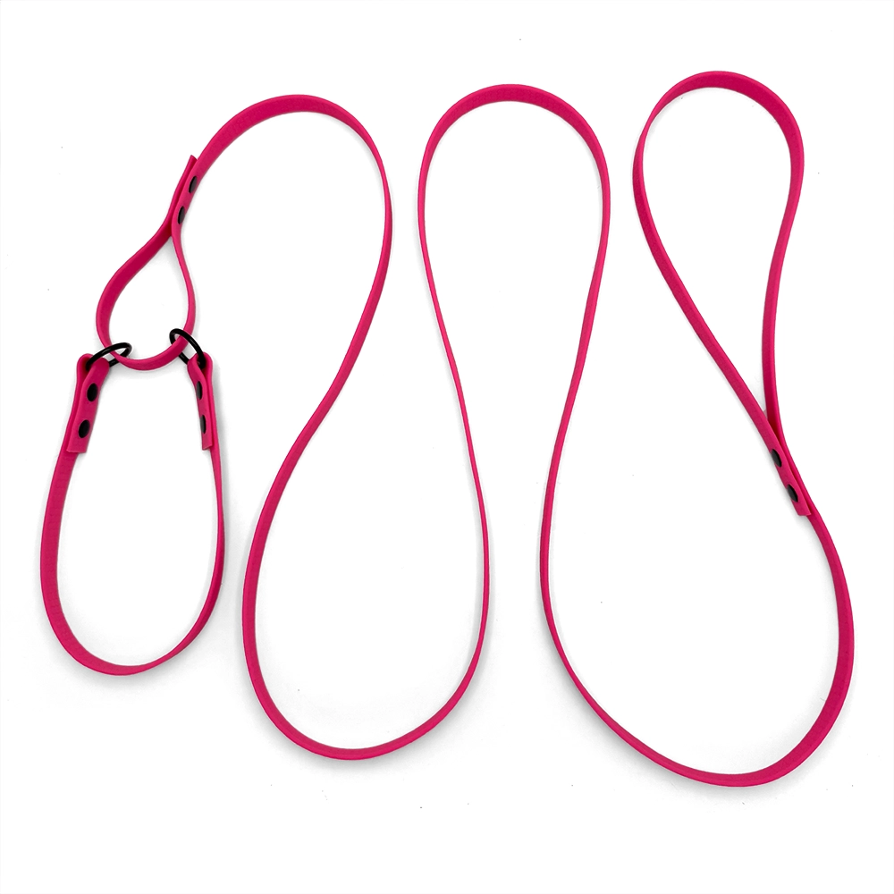All-in-one leash - 10