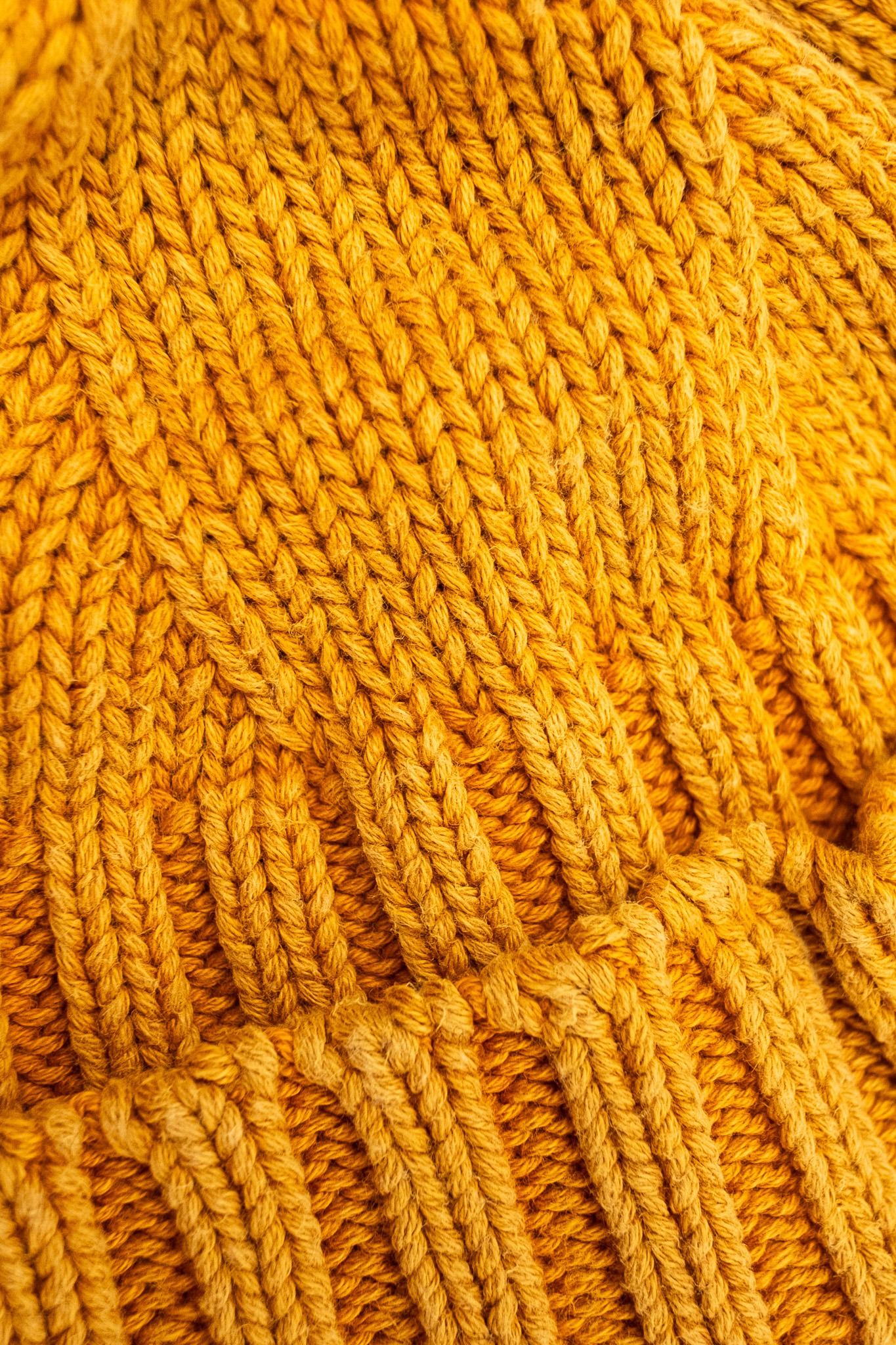 H.W. Dog & Co - RC Watch Cap Gold Yellow - 5