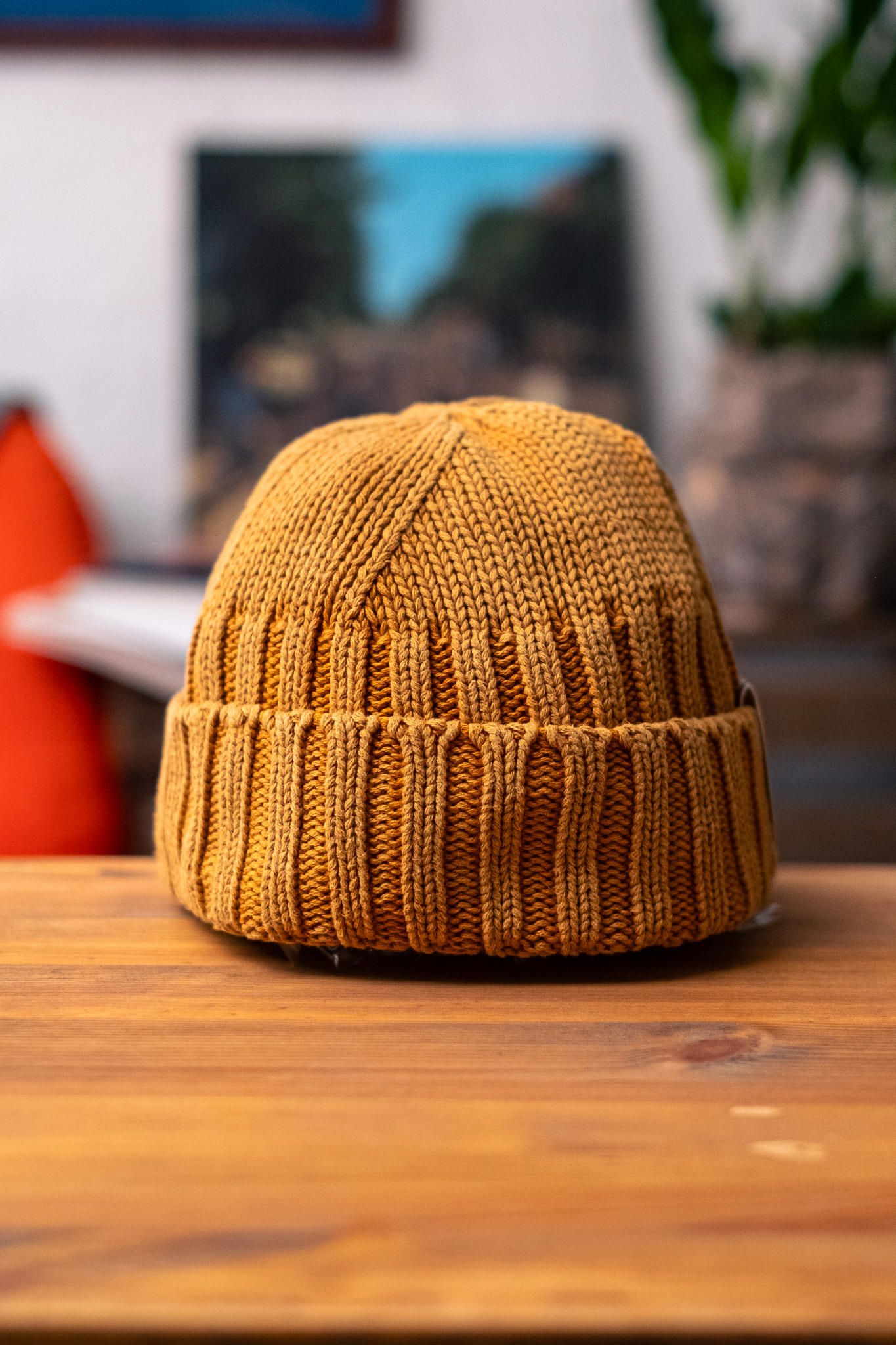 H.W. Dog & Co - RC Watch Cap Gold Yellow