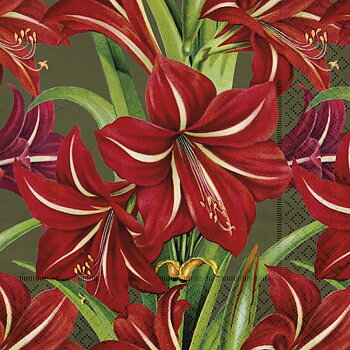 Servett Amaryllis Röd