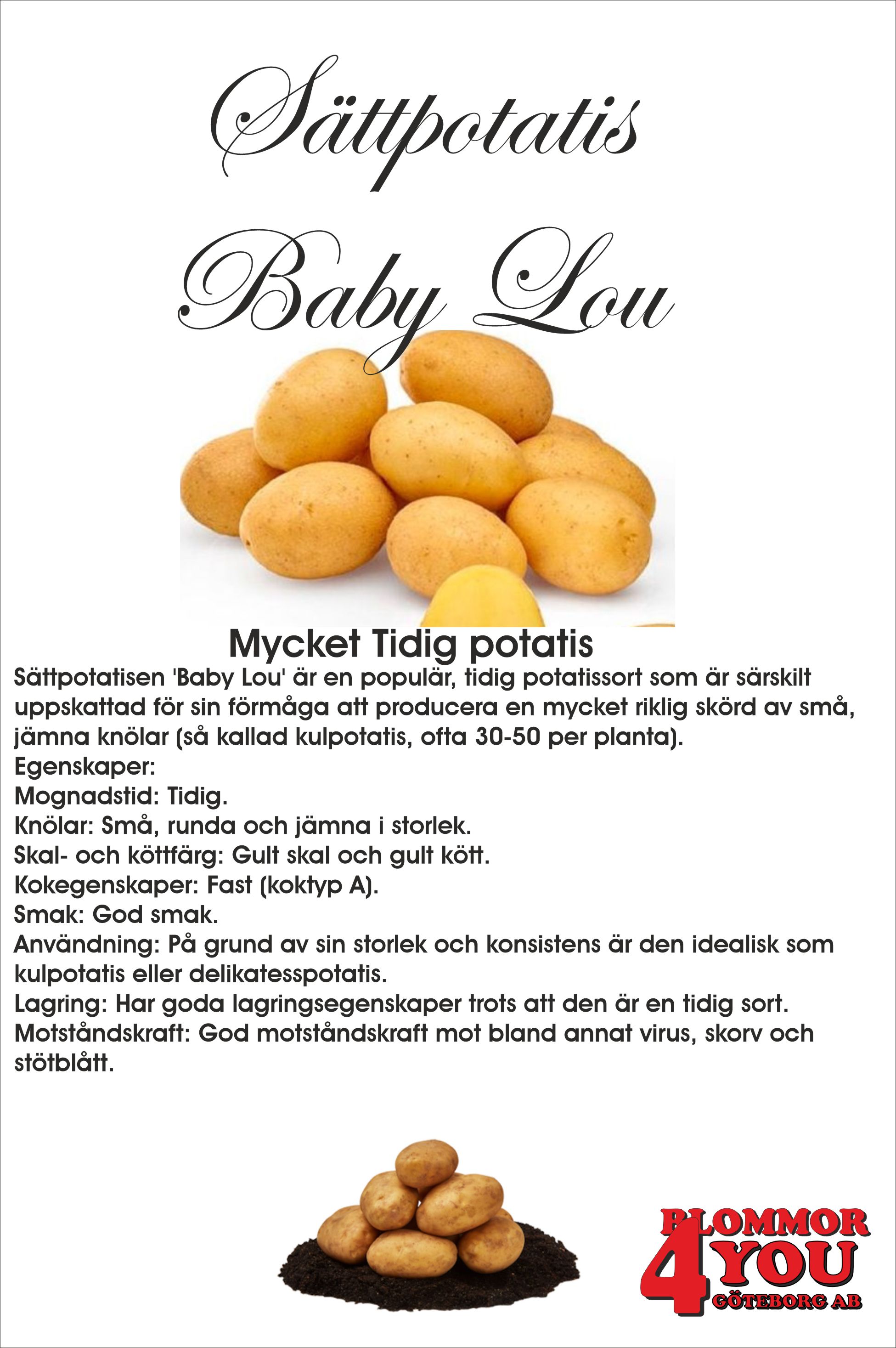 Sättpotatis Baby Lou   3 Kilo