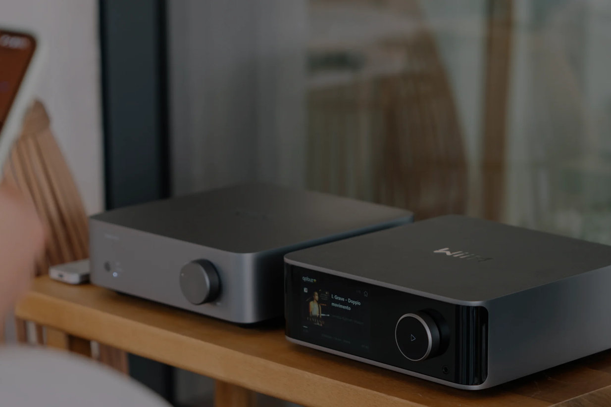 WIIM Vibelink Amp - 2