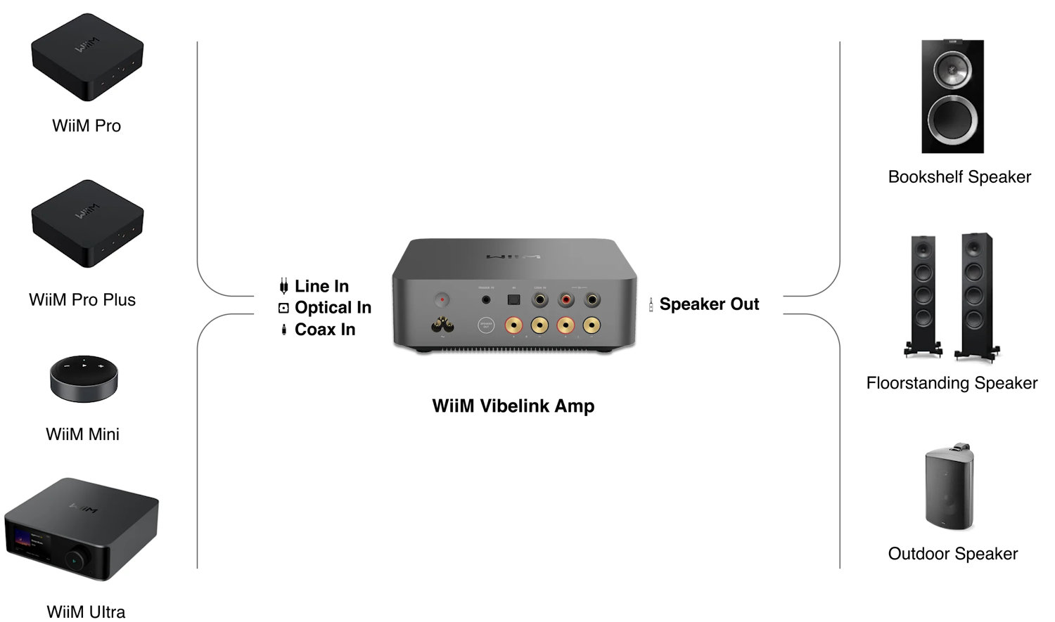 WIIM Vibelink Amp - 6