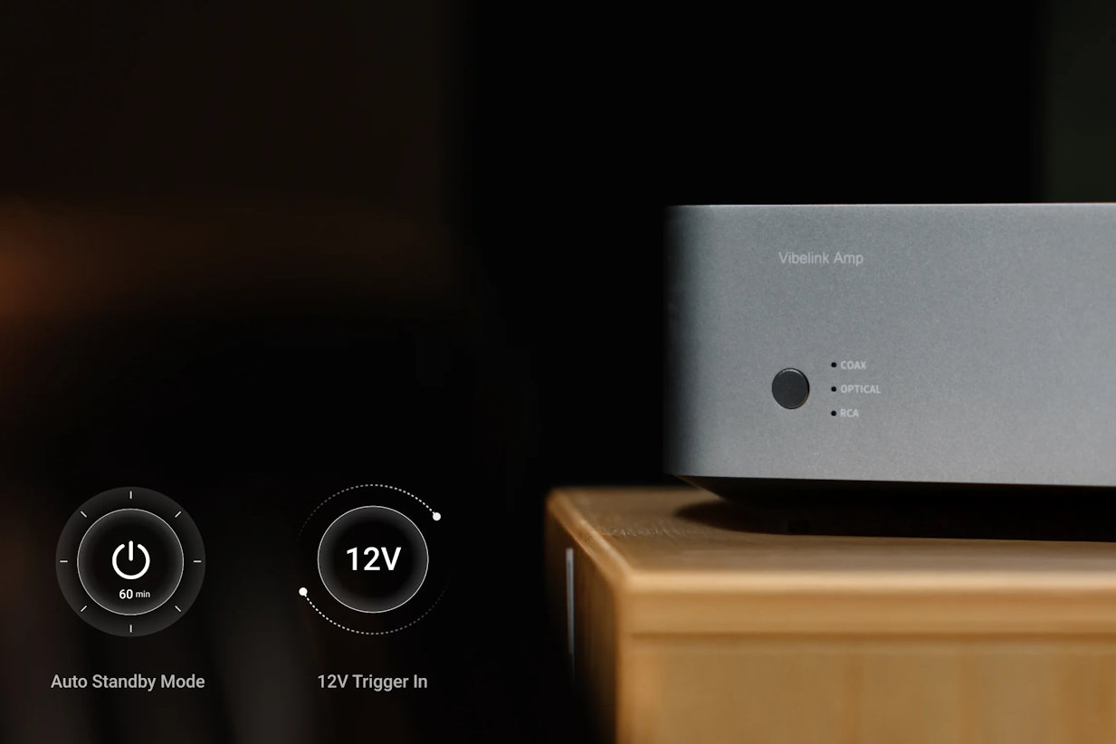 WIIM Vibelink Amp - 5
