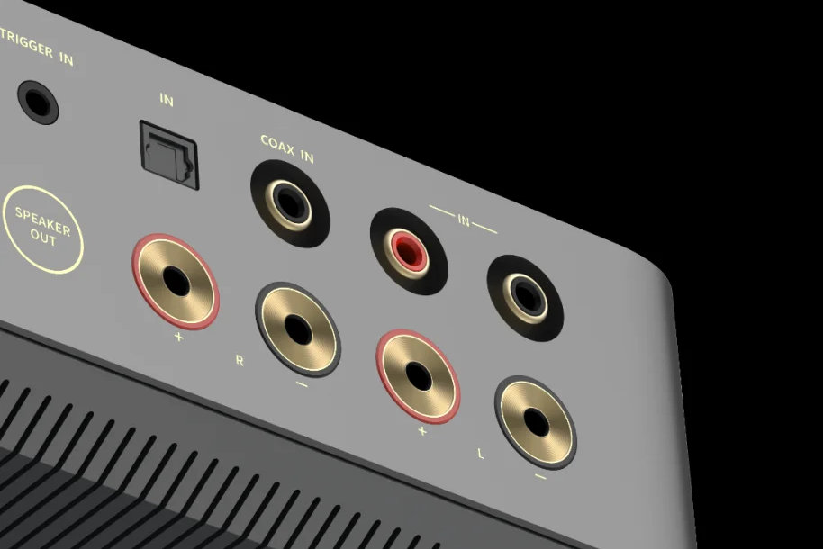 WIIM Vibelink Amp - 3