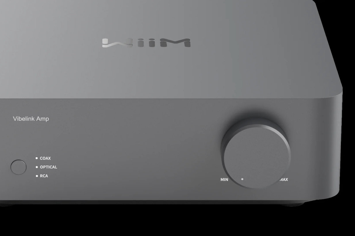 WIIM Vibelink Amp - 4
