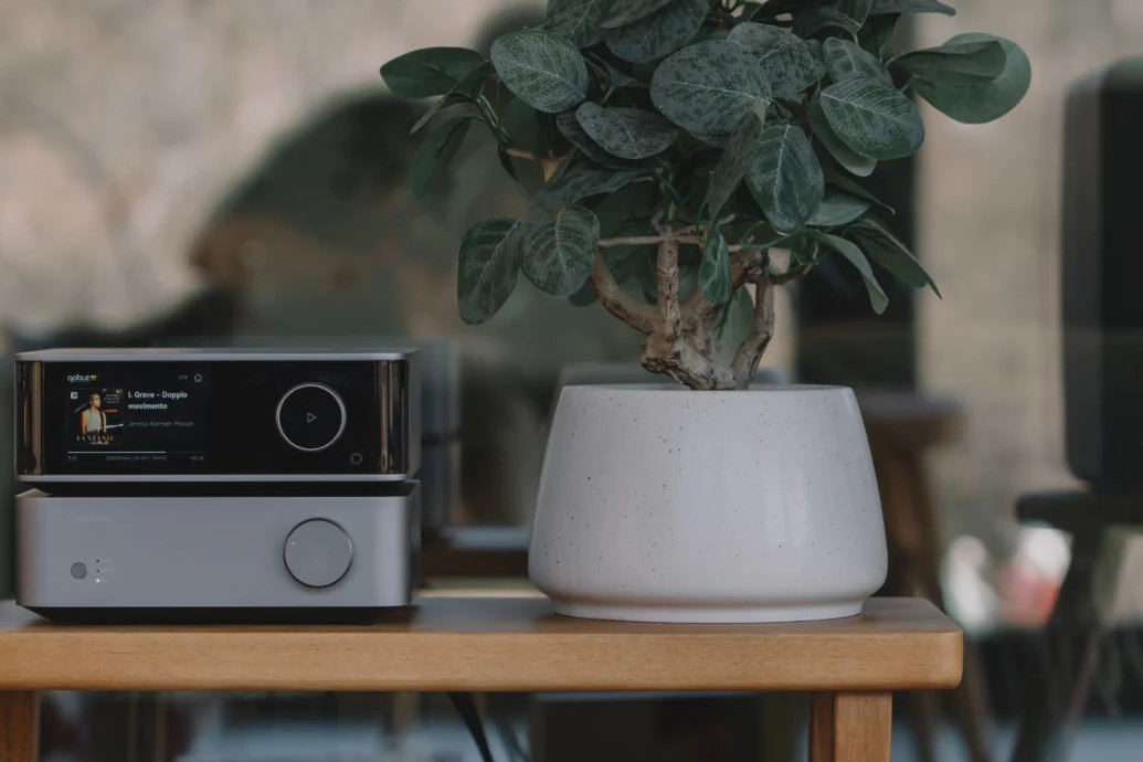 WIIM Vibelink Amp