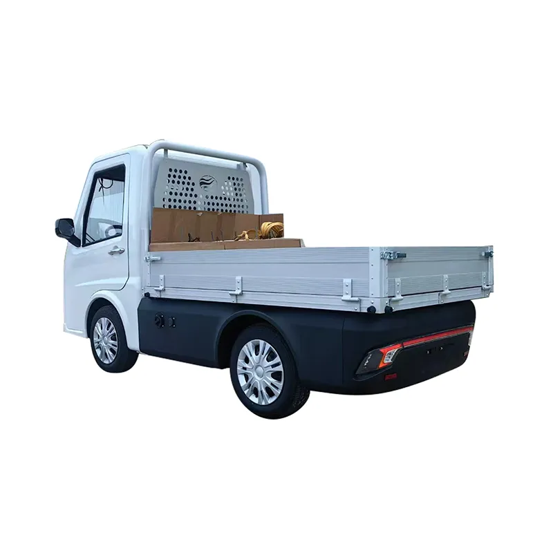 Compact Cargo Carrier - 2
