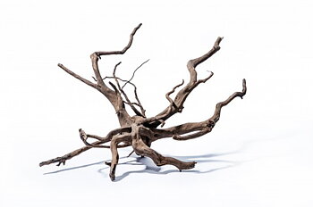 Aquadeco Darkmoor Wood 32-40 cm