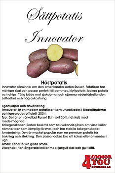 Sättpotatis Innovator  3 Kilo