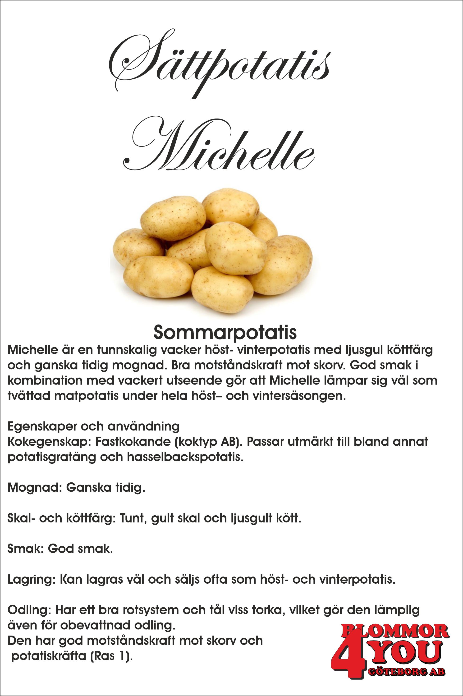 Sättpotatis Michelle  3 Kilo