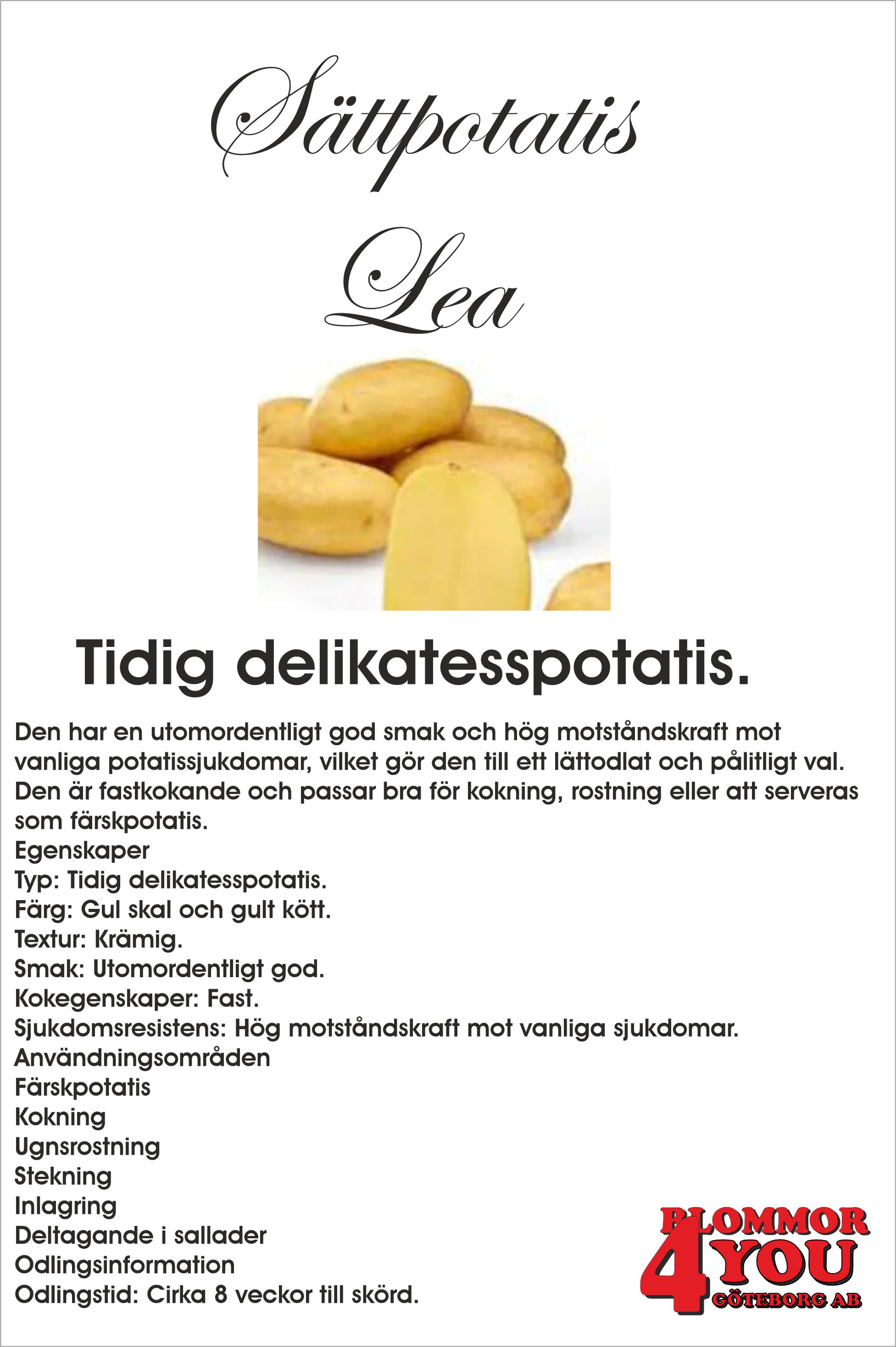 Sättpotatis Lea   Eko 1Kilo