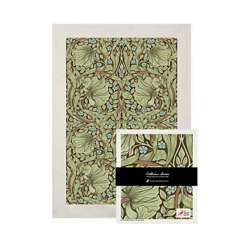 William Morris Set Kökshandduk & Disktrasa Pimpernell Green 