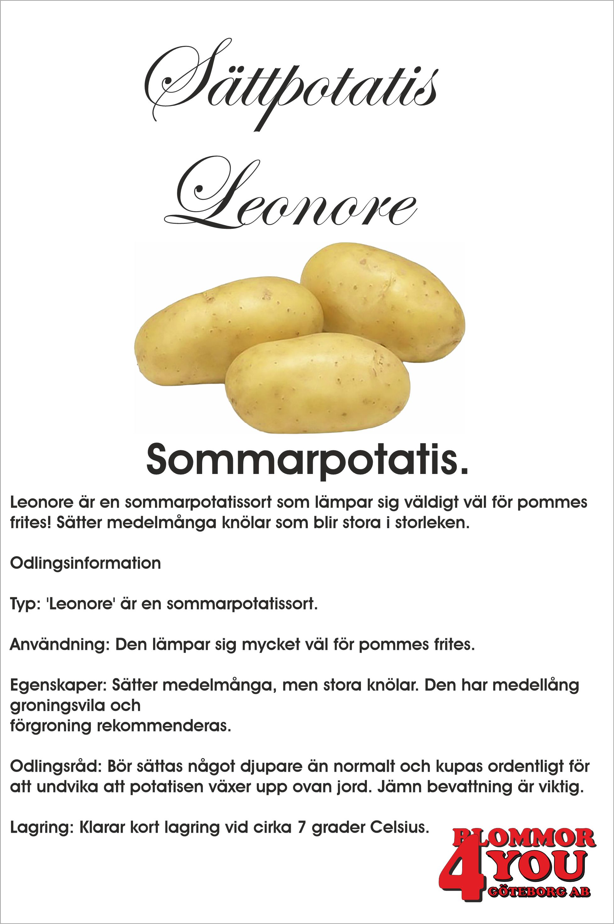 Sättpotatis Leonore  1 Kilo