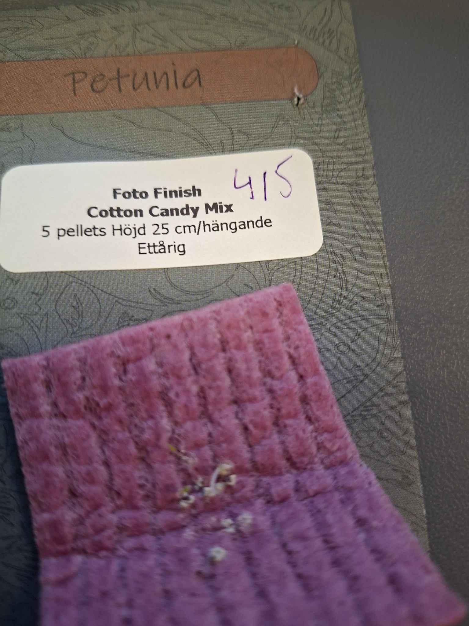 Petunia F1  "Foto Finish  Cotton Candy Mix" 5 frön (buskig) - 2