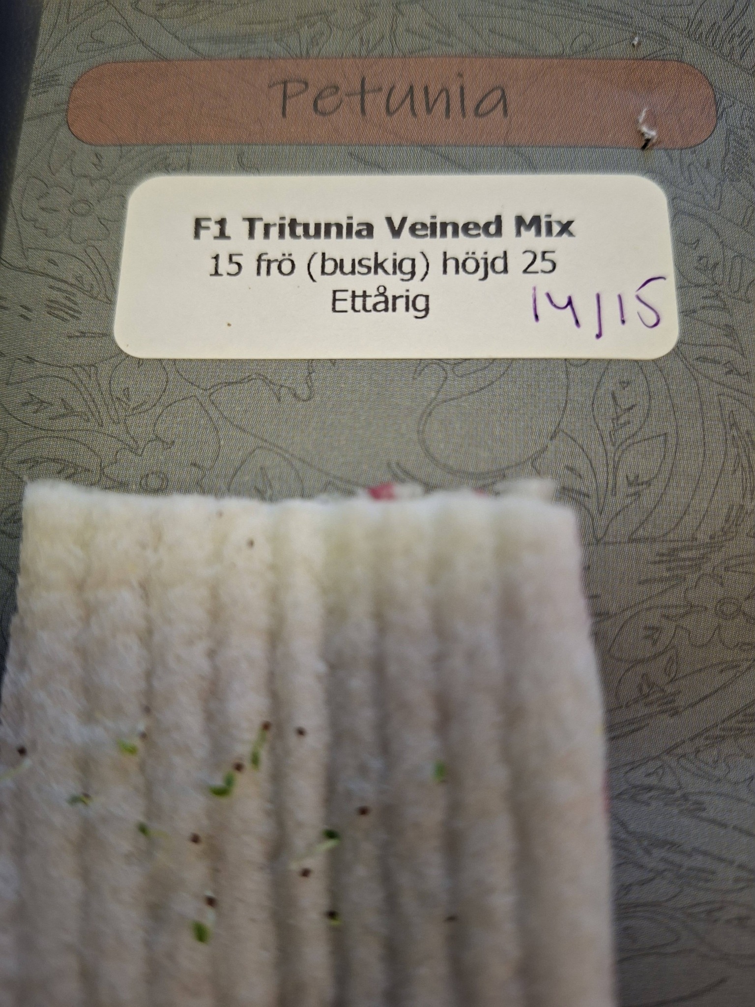 Petunia F1 "Tritunia Veined Mix" 15 frön (buskig) - 2