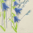 Aimo Nietosvuori (1970s) White Wall Plaque with Bluebell Motif 17 cm #843