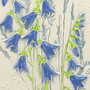 Aimo Nietosvuori (1970s) White Wall Plaque with Bluebell Motif 17 cm #843