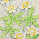 Aimo Nietosvuori (1970s) White Wall Plaque with Windflower Motif 17 cm #849
