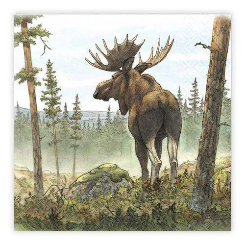 Dinner Napkin Sketch Moose