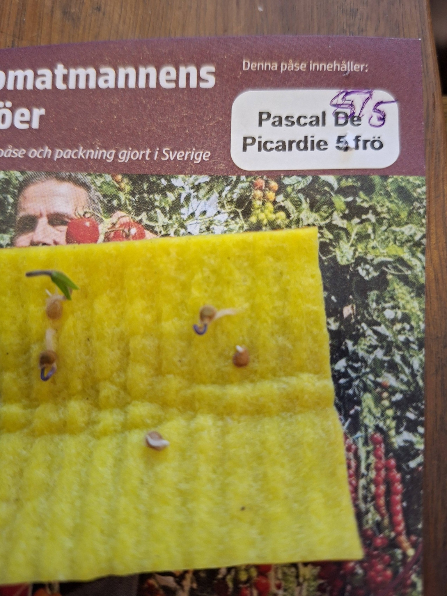 Tomatmannens Tomat Pascal De Picardie  5  frö  Nyhet 2026! - 3