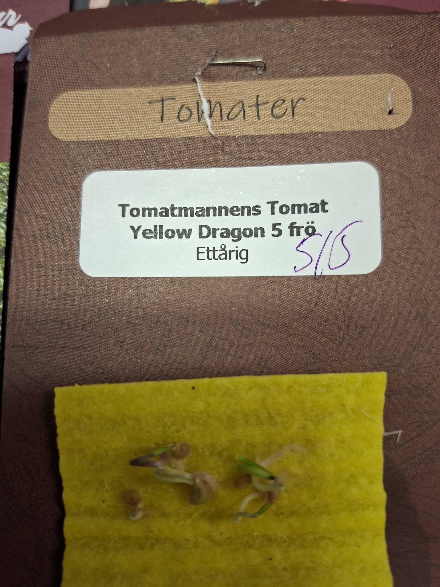 Tomatmannens Tomat Yellow Dragon  5  frö  Nyhet 2026! - 3