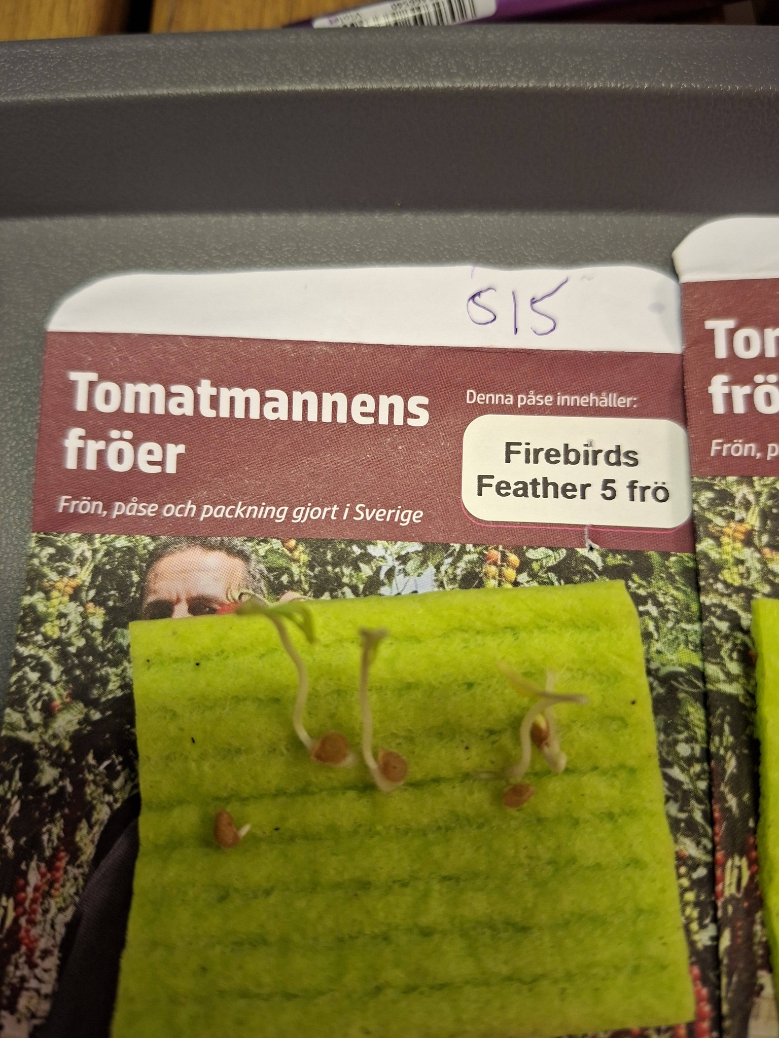 Tomatmannens Tomat Firebirds Fester  5  frö  Nyhet 2026! - 5