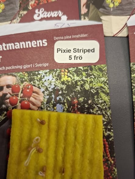 Tomatmannens Tomat Pixi Striped  5  frö  Nyhet 2026! - 2