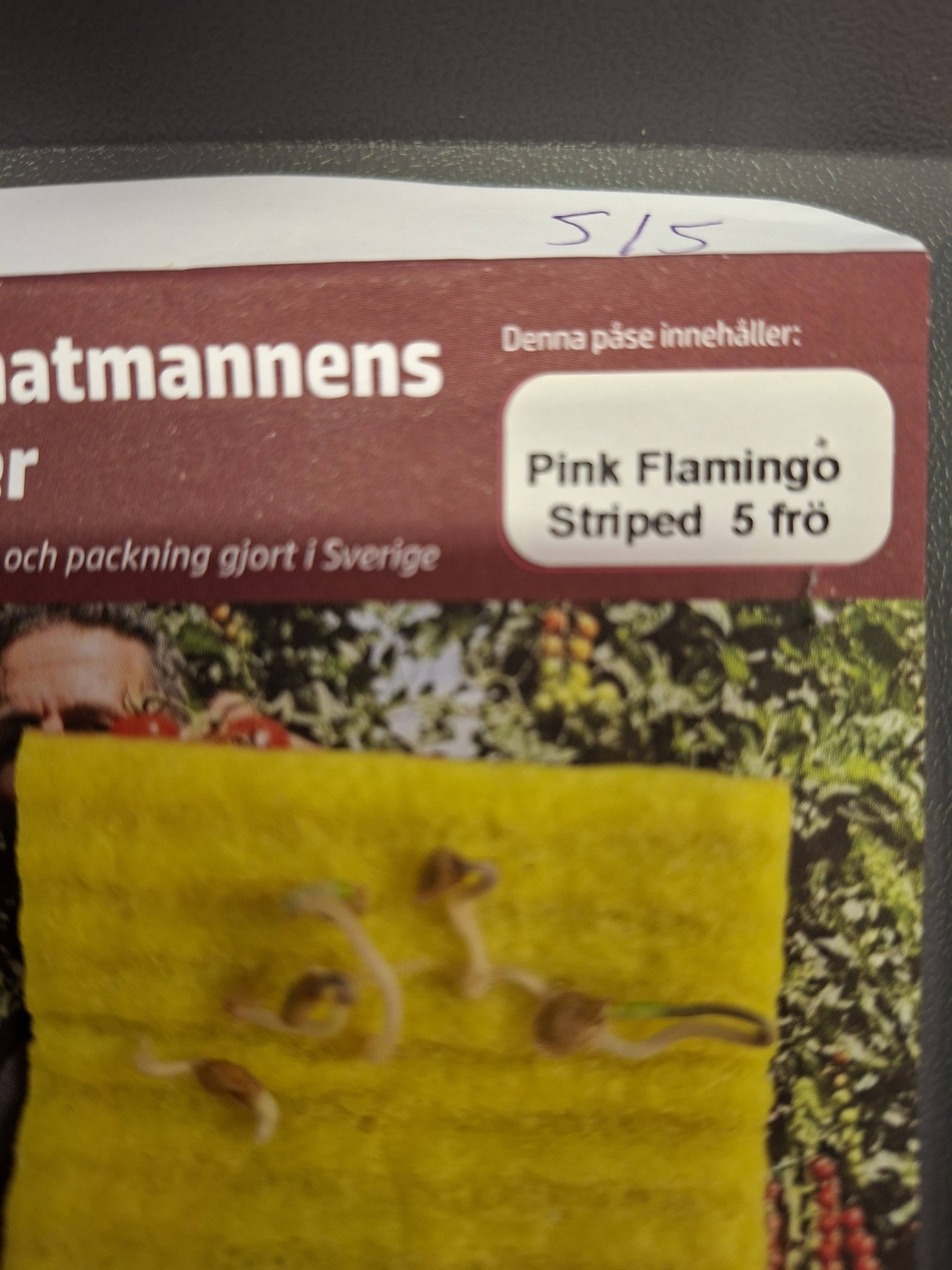 Tomatmannens Tomat Pink Flamingo Striped  5  frö  Nyhet 2026! - 2