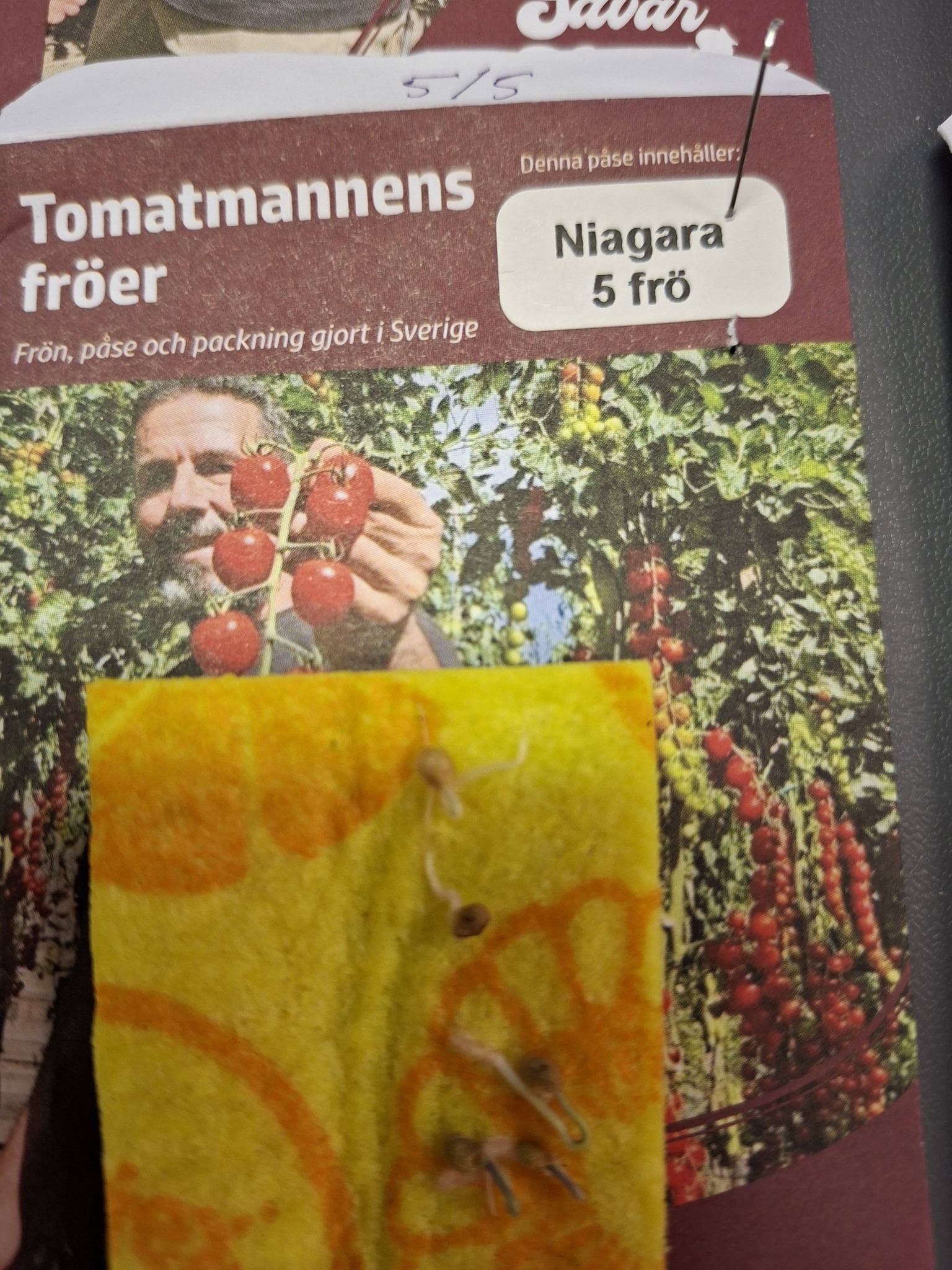 Tomatmannens Tomat Niagara  5  frö  Nyhet 2026! - 2