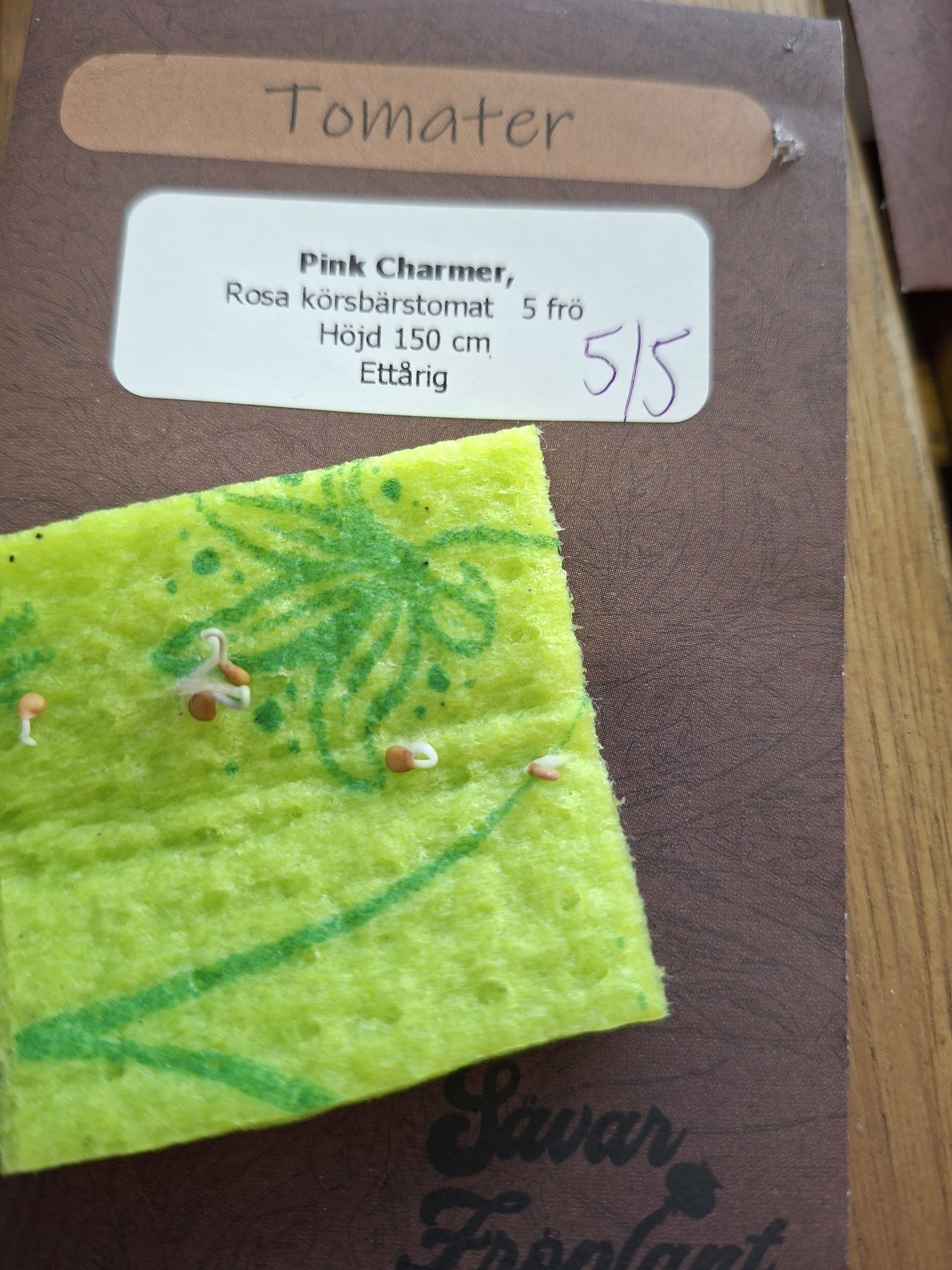 Tomat Pink charmer F1, 5 frö  - 3
