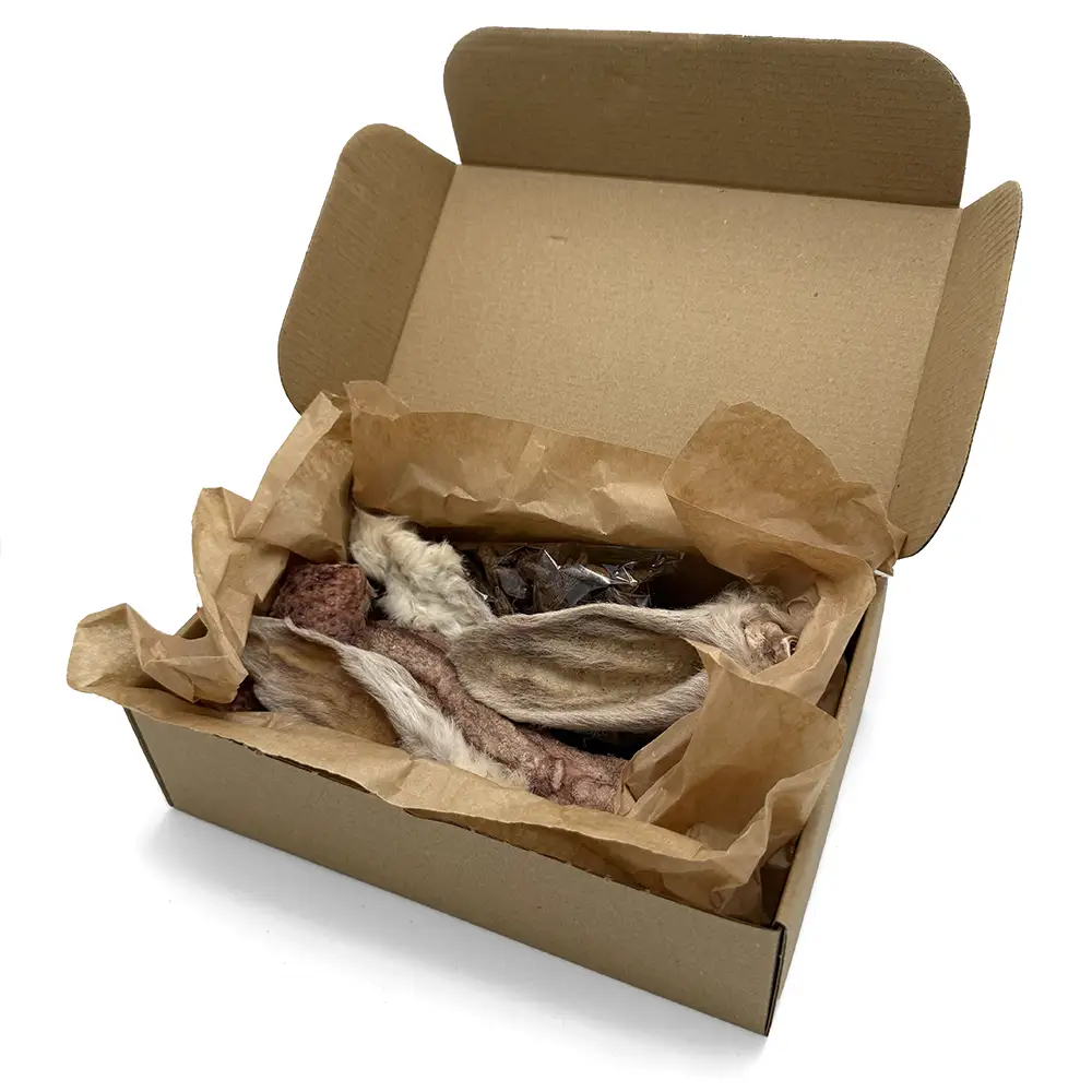 Christmas dog treat Easter candy dog treat box