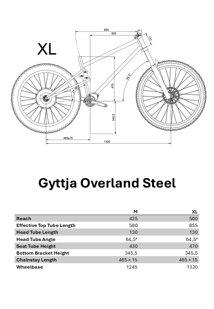 Gyttja Pinion FAT Adventure Bike - 5