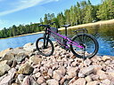 Gyttja 26" Jordnära