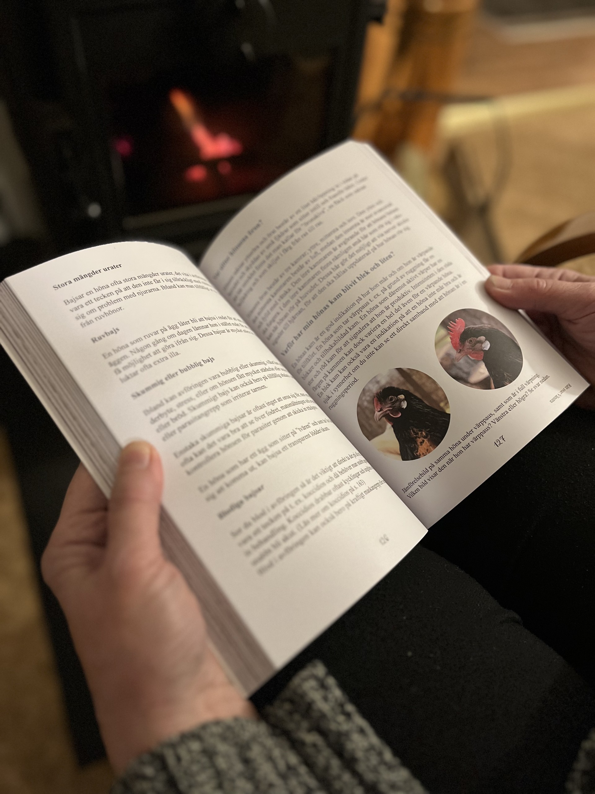 Boken "Våra fantastiska höns - fler frågor och svar"