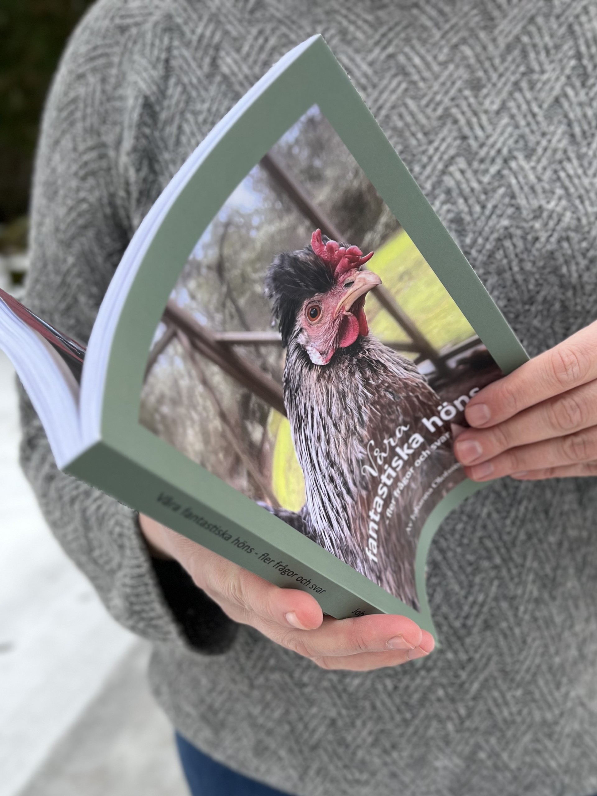 Boken "Våra fantastiska höns - fler frågor och svar"