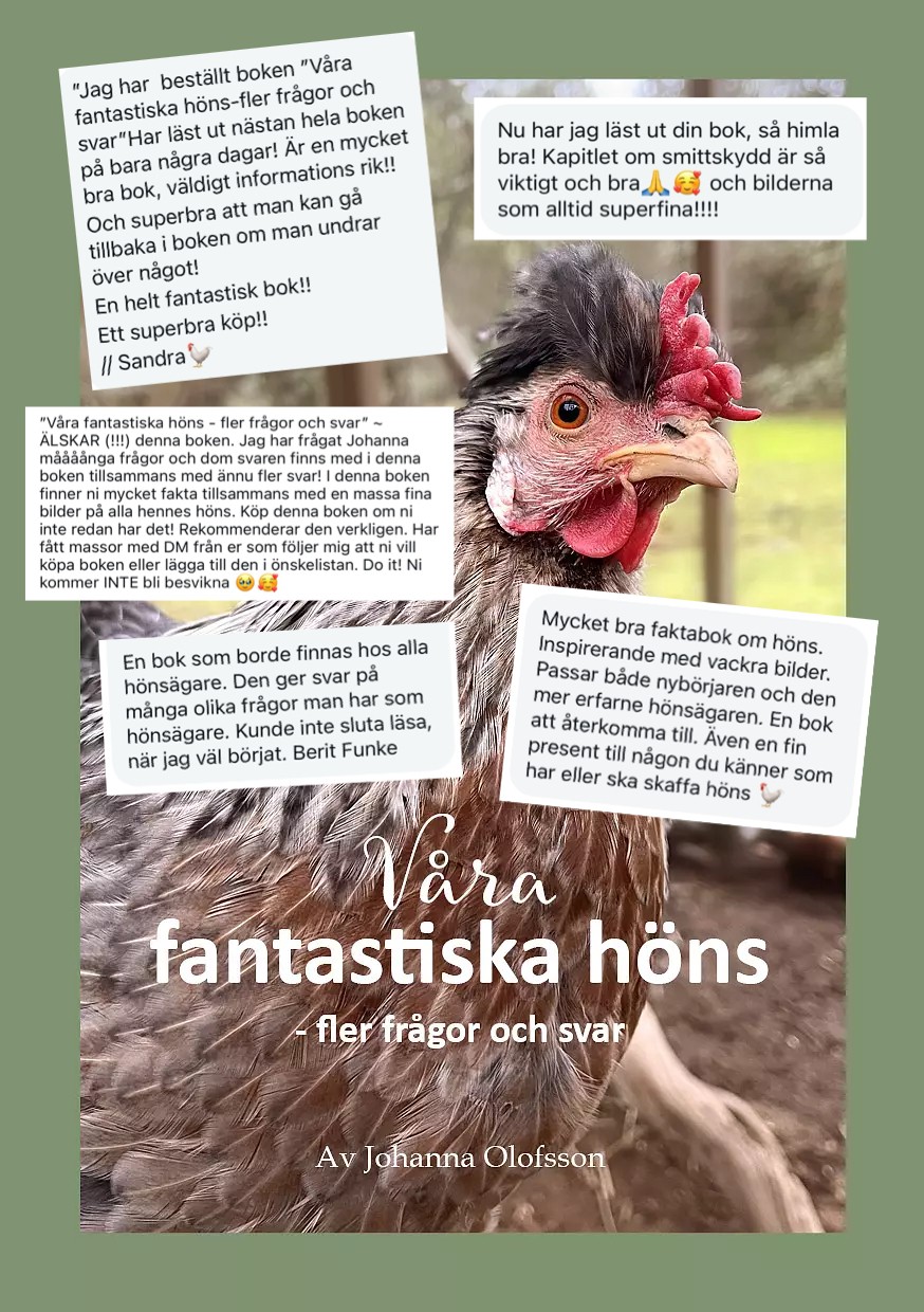 Recension E-bok  "Våra fantastiska höns - fler frågor och svar"