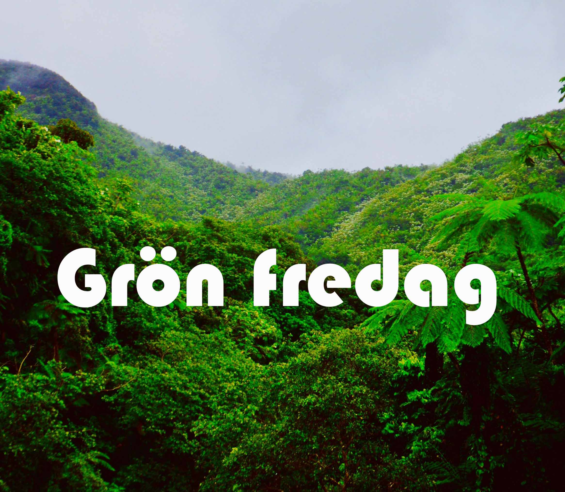 GRÖN FREDAG! I STÄLLET FÖR EN SVART VECKA!  - 2