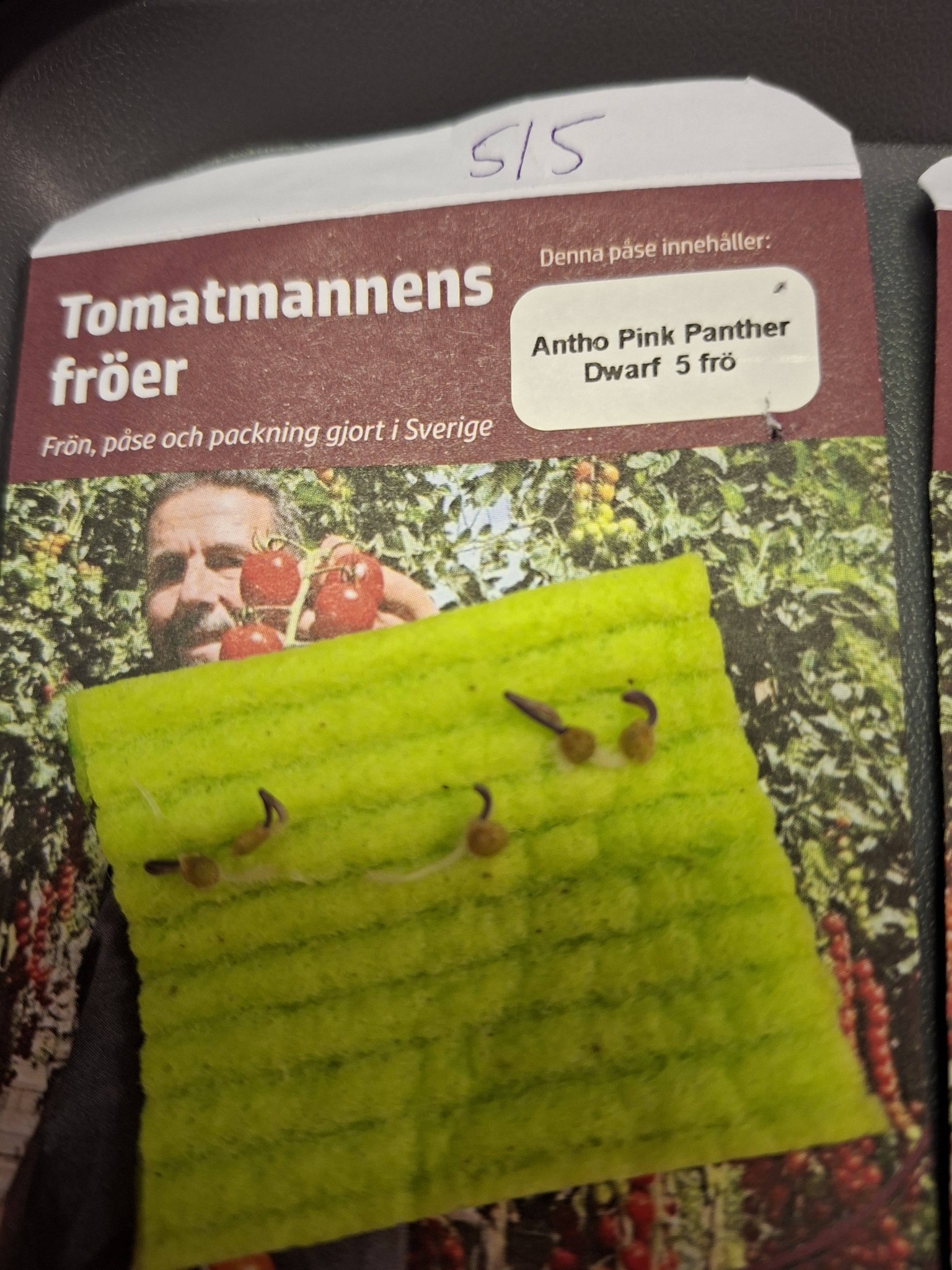 Tomatmannens Tomat Antho Pink Panther  Dwarf 5 frö Nyhet 2026! - 2