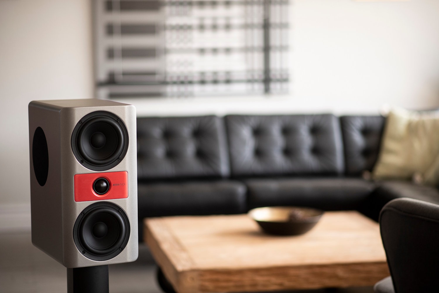 Accuvoice Stream S3 Aktiv Högtalare - 5