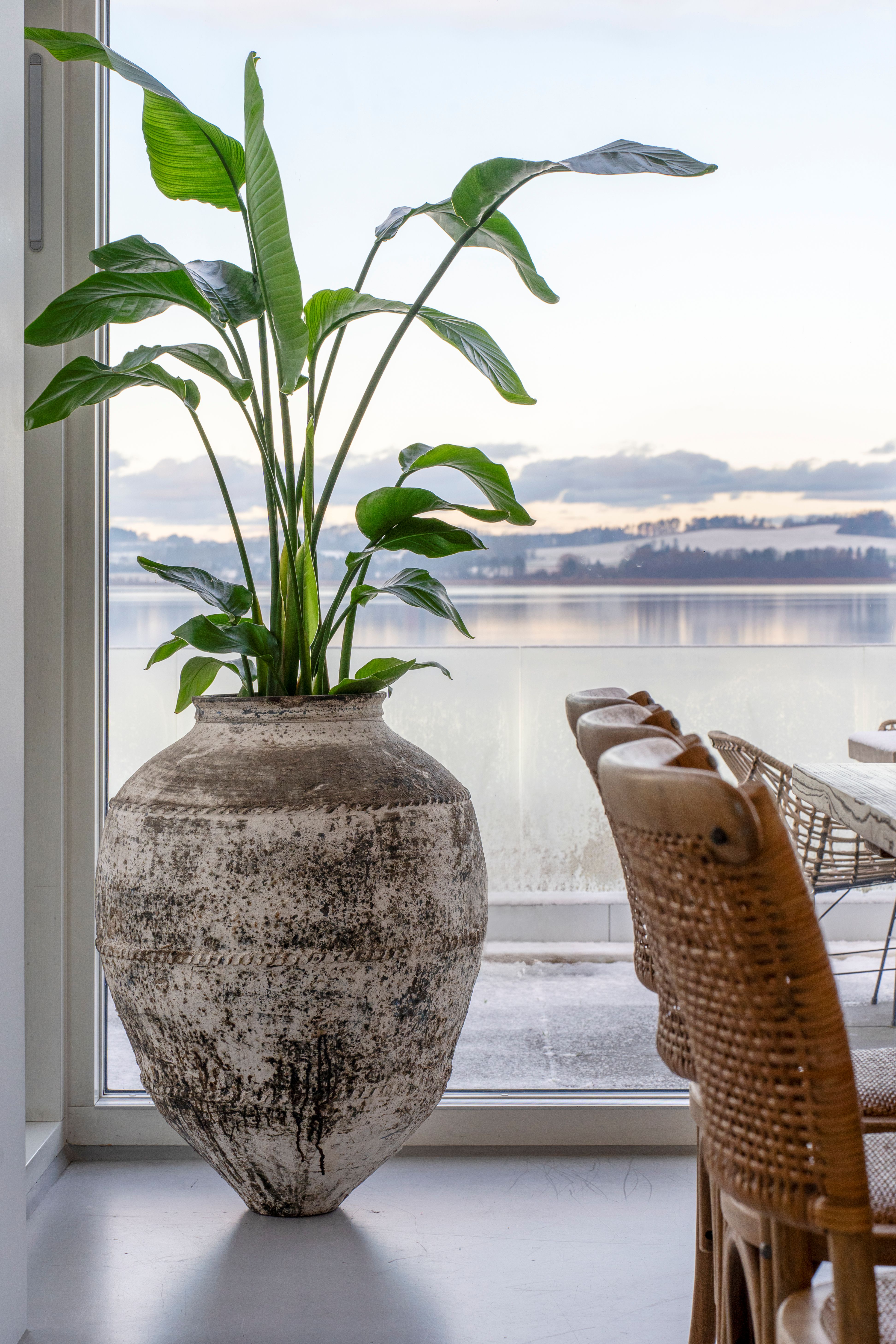 Matstol i rotting, fransk stil från Chic Antique
