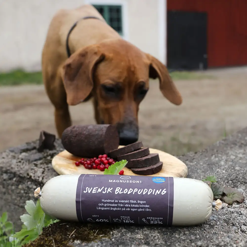 Black pudding for the dog Swedish fresh food Magnussons
