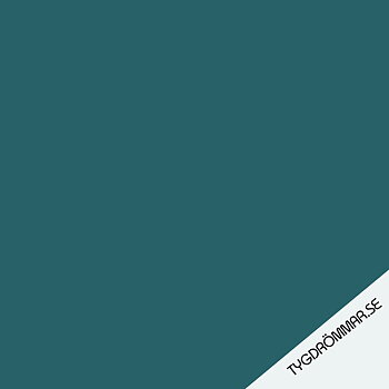 COLLEGE - PETROL