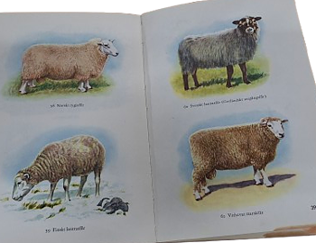 Barnbok