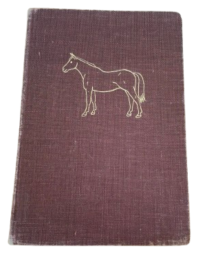 Barnbok