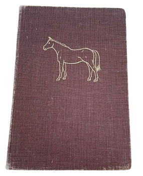 Barnbok